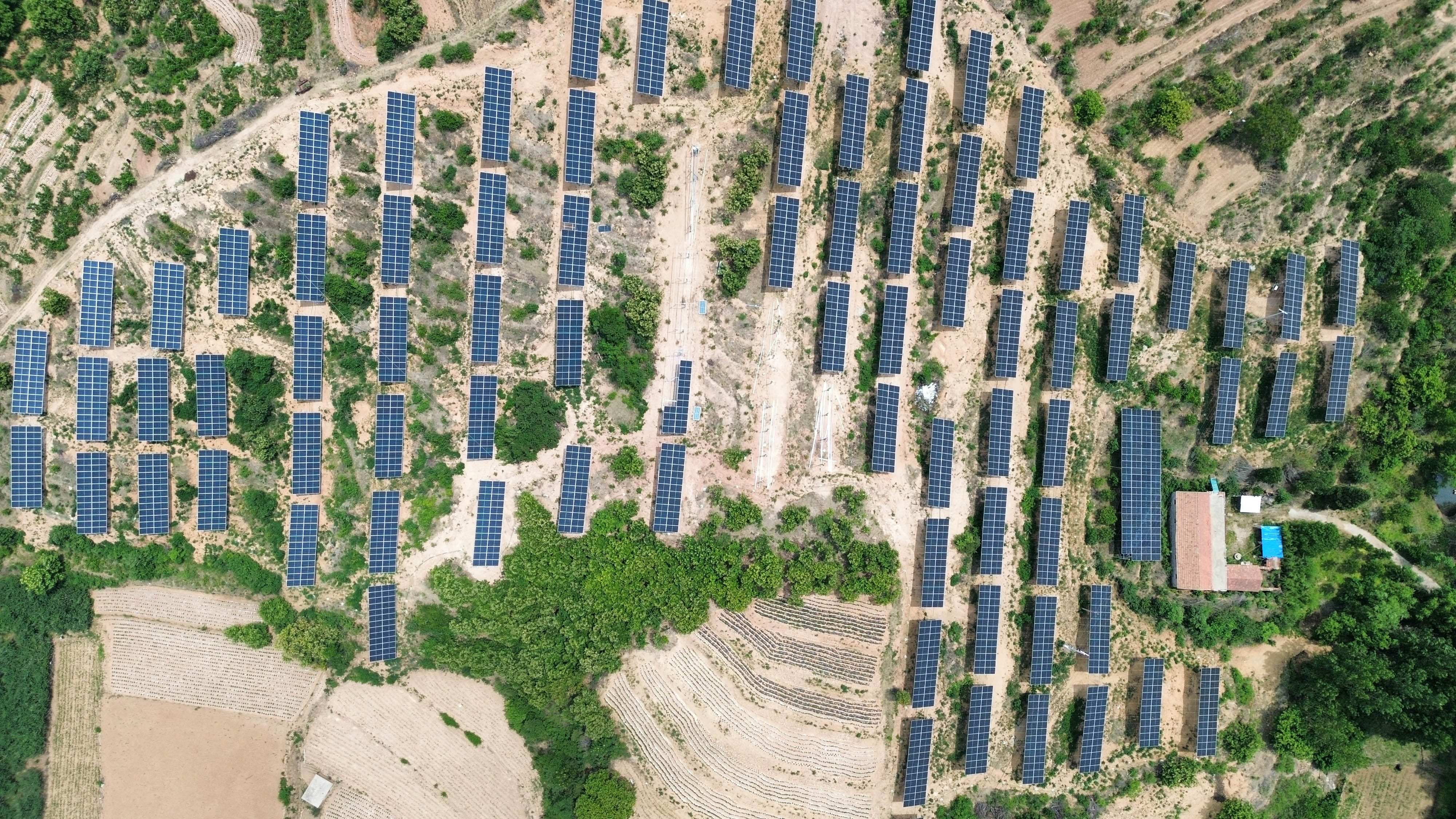 国电投大张庄镇  15.9MW 光伏发电